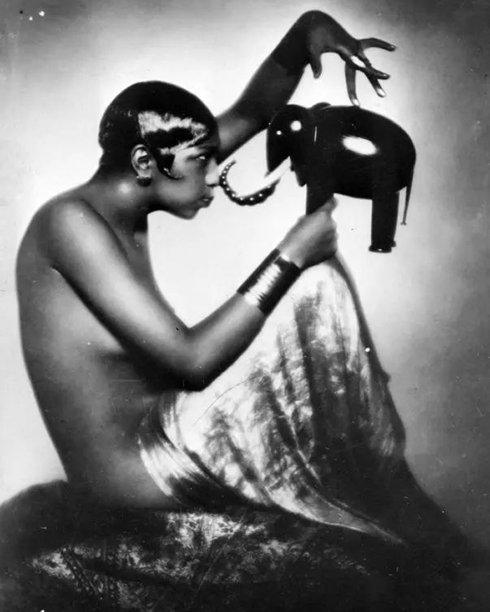 Flamingo Noir